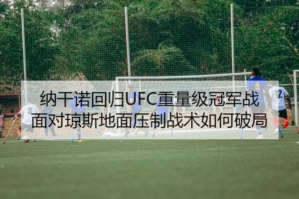 纳干诺回归UFC重量级冠军战 面对琼斯地面压制战术如何破局